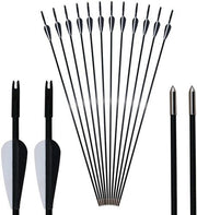 12x Fiberglass Arrows 80cm Target Practice 15-30lbs Recurve Bow Straight Bow
