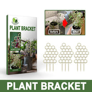 Plant Support Climbing Trellis