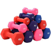 Dumbbells 2.5kg Pair Purple Hand Weights 2 x 2.5kg Home Fitness