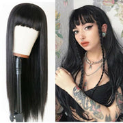 Long Straight Wig