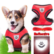 Cat Vest Harness Leash Set L