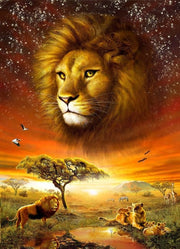 5D Diamond Painting Diamond Art Kits