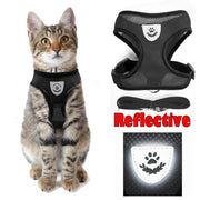 Adjustable Small Dog Puppy Cat Vest Harness Leash Set M