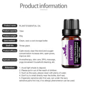 Essential Oils Gift Set 8 Bottles
