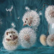 Diamond Painting Art Kit