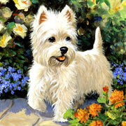 5D Diamond Painting Diamond Art Kits