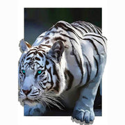 Diamond Painting Art Kit