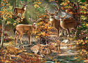 Diamond Painting Art Kit