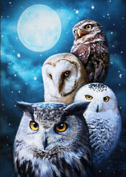 5D Diamond Painting Diamond Art Kits