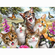 5D Diamond Painting Diamond Art Kits