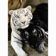 Diamond Painting Art Kit