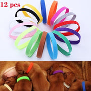 Whelping Identification Collars for Newborn Puppy XL