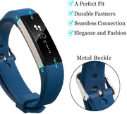 Fitbit Alta HR Strap L