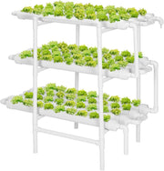 Hydroponic Grow Kit