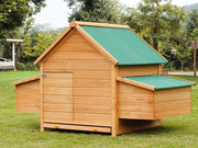 Chicken Coop with Nesting Box and Perch