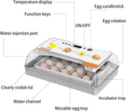 20 Egg Incubator Fully Automatic