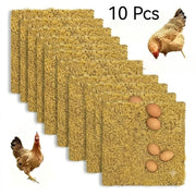 10Pcs Washable Chicken Nesting Pads & Fake Training Eggs
