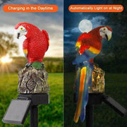 Parrot Garden Solar Light Set