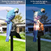 Garden Solar Light Outdoor Garden Lights