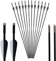 12x Fiberglass Arrows 80cm Target Practice 15-30lbs Recurve Bow Straight Bow