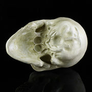 Skull Head Human Resin Skeleton