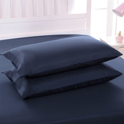 Pillowcase Pillowcases Blue 2PC