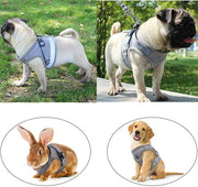 Dog Vest Harness Leash Set L