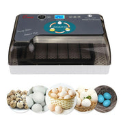 12 Egg Incubator 220V