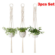 Set of 3 macrame plant hangers with white woven rope and green indoor plants.