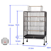 Bird Cage Birds Cages