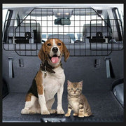 Beagle dog and tabby cat sitting in a car trunk with a black metal pet safety barrier.