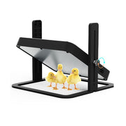 Black adjustable heating lamp with three small yellow ducklings underneath.