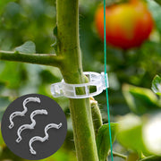 Clear plastic tomato plant support clips for garden trellis training.