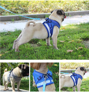 Dog Vest Harness Leash Set M