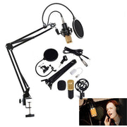 Professional condenser microphone kit with boom arm, pop filter, and studio accessories.