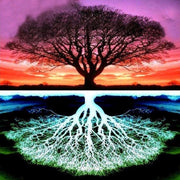 5D Diamond Painting Diamond Art Kits