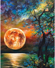DIY Paint Oil Painting By Number
