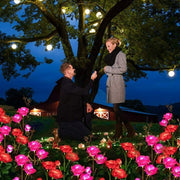 Garden Solar Light Outdoor Garden Lights