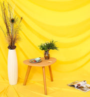 Photography Backdrop Background Red 2M x 3M