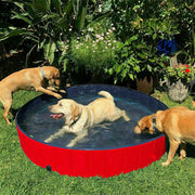 Dog Pet Swimming Pool