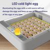 36 Egg Incubator