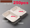 Food Containers Takeaway Box 250pcs