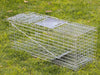 Possum Trap Large