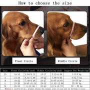 Dog Muzzle Dog Muzzles XL