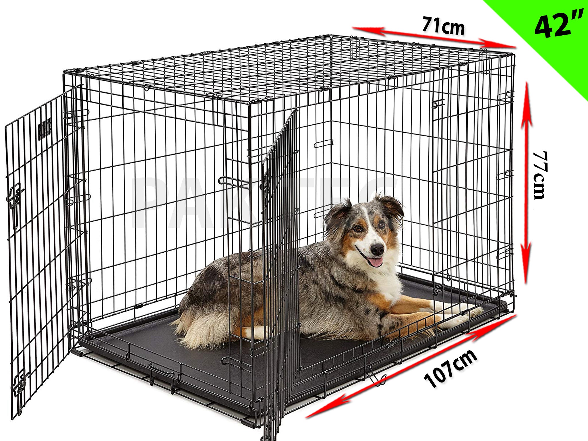 Dimensions of 42 inch dog crate hot sale