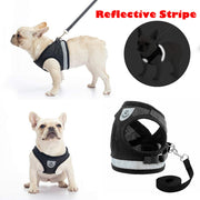 Dog Vest Harness Leash Set L
