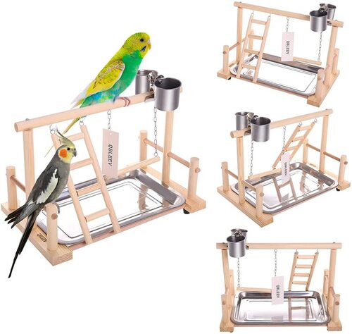 ADNIKIA Bird Perches Cage Toys Bird Wooden Play Gyms Stands with Climbing  Ladder, Parrot Play Stand and Bird Swing Conure for Green Cheeks, Baby
