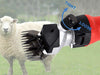 Sheep Horse Clipper Horse Shears