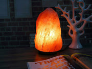 Himalayan Natural Salt Lamp (8KG) - Paktec.nz