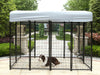 Pet Dog Kennel Metal Enclosure 2.4M x 1.2M